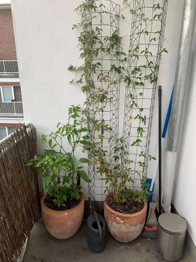 Zentrales Apartement BRE Esterno foto